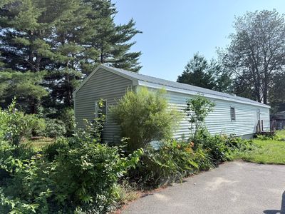 11 Willow Street