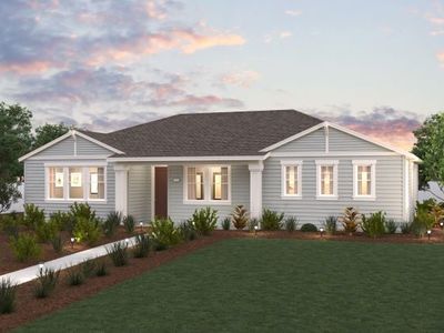 Plan 5 Plan, Meridian