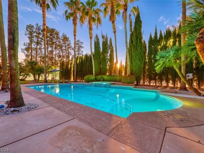 2426 Palomino Ln