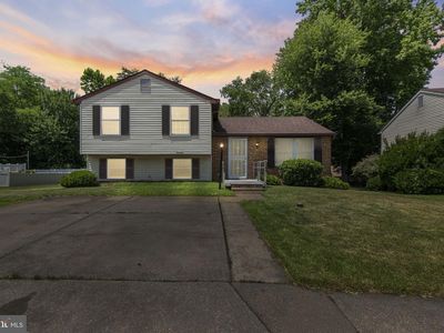 14 Tulip Tree Ct