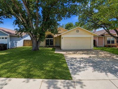 7974 Wayside Trl