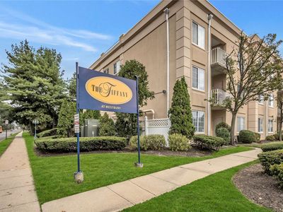 54 School Street UNIT 303