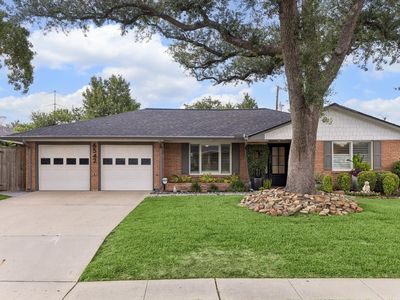 6542 Cindy Ln