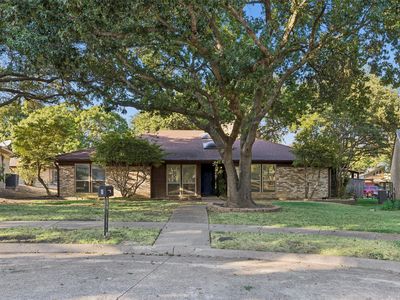 5 Shannon Ct