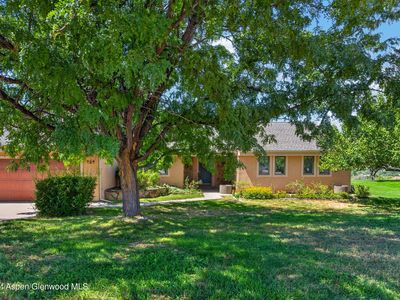 259 Willow Creek Trl
