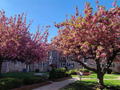 65-30 Grand Central Parkway #1