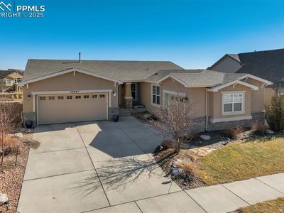 10091 Coyote Song Ter