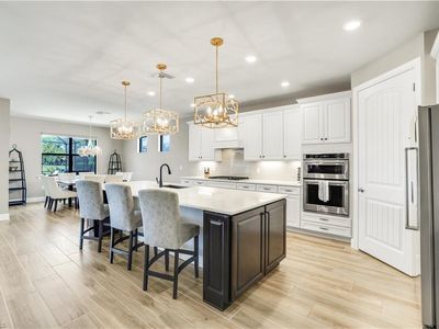 9373 Surfbird CT