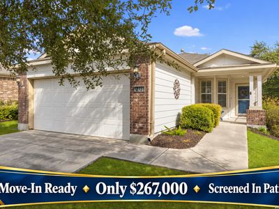 12731 Sand Holly