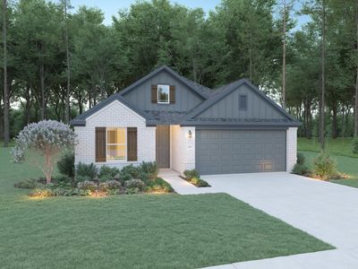 The Teak Plan, Roman Forest