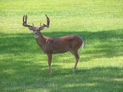 2218 Harpers Highlands Ln