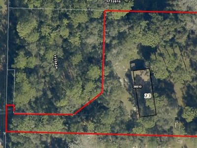38510 COUNTY ROAD 439