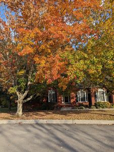 46 Deerfield Ct