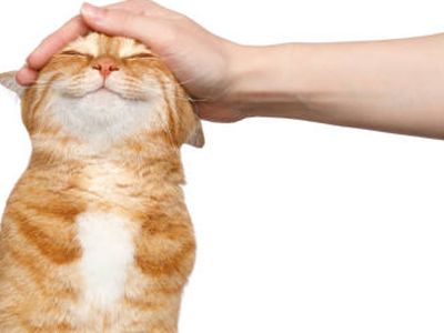 16430 Park Lake Rd LOT 164