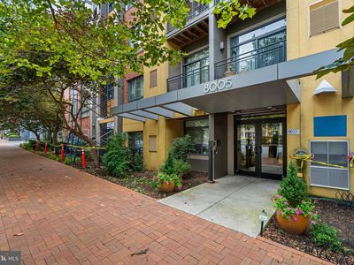 8005 13th St APT 311