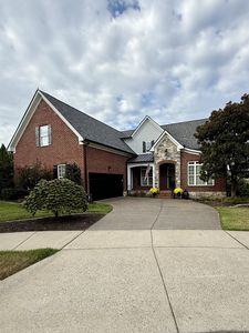 225 Molly Bright Ln