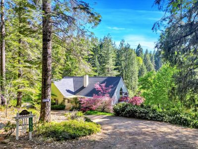 12962 Lonesome Dove Trl