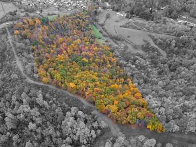 Property at Paw Paw Crk, Fairview, WV