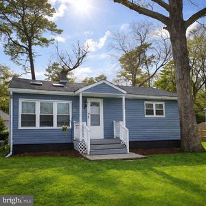 20 Foxglove St