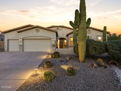 10783 S Heart Break Ridge Pl