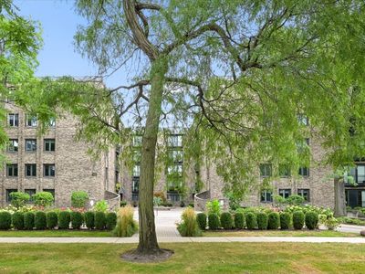 1009 Bonnie Brae Pl APT 2B
