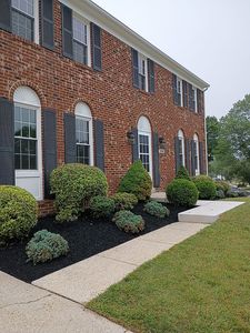 11101 Elon Ct
