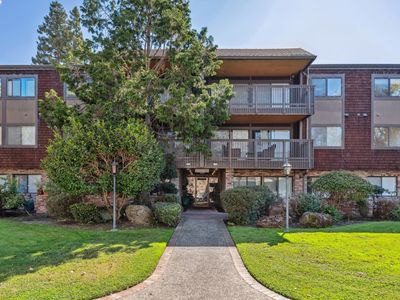 1810 Central Ave APT 203