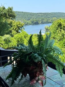 150 Sunken Forest Drive ## 252 BLDG 10