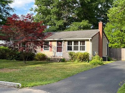 11 Butternut St
