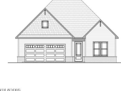 Moonlight Elm Dr