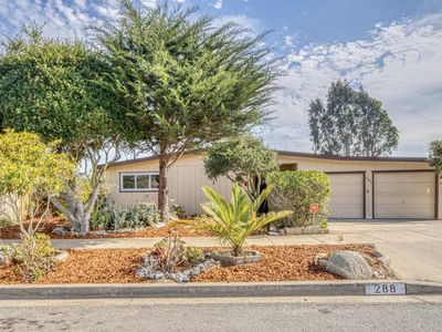 288 Young Cir