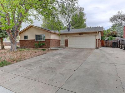 1027 Cottonwood Dr