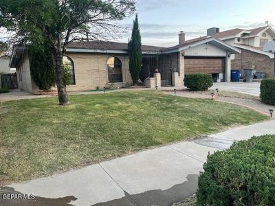 11208 Starfish Ct