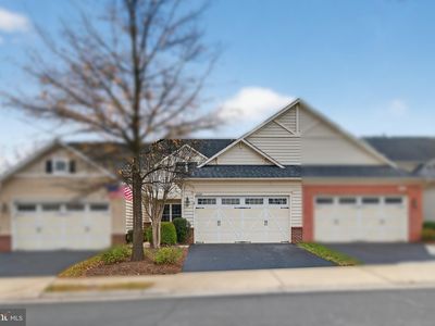 44385 Maltese Falcon Sq