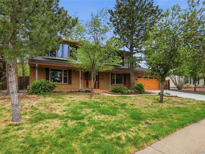 3076 Nelson Court