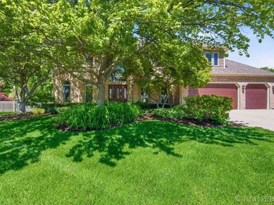 230 Persimmon Dr