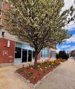 441 Washington St APT 203