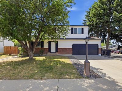2479 Tulip Street