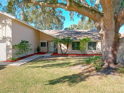 164 Morning Glory Dr