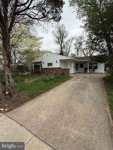 58 Bald Cypress Ln