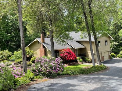 299 Wild Fern Dr