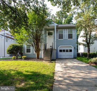 6428 Bear Ct