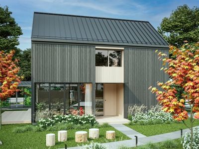 The Amore Plan, The Mana