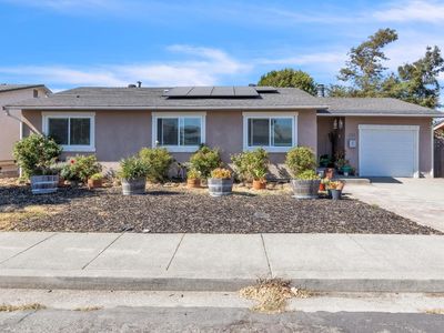 224 Elwood Street