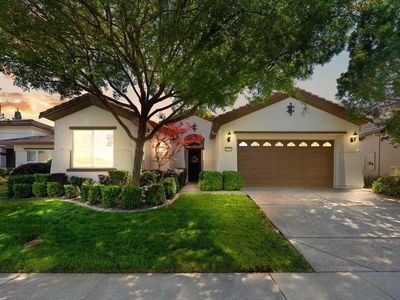 2294 Langtree Dr