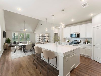 421 Soapberry Tree Ct