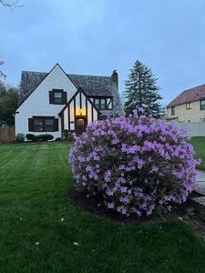 302 Elmwood Blvd