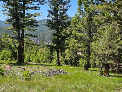 202 Packer Gulch Rd