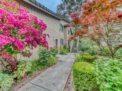 195 Del Monte Ln