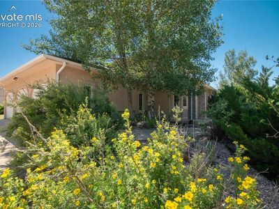 19558 Fox Trail Way